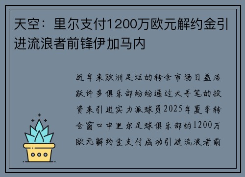 天空：里尔支付1200万欧元解约金引进流浪者前锋伊加马内