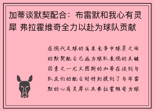 加蒂谈默契配合：布雷默和我心有灵犀 弗拉霍维奇全力以赴为球队贡献